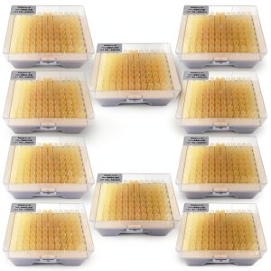 MUHWA 200µL Pipette Tips 96 per Rack, 10 Sterile Autoclavable-0